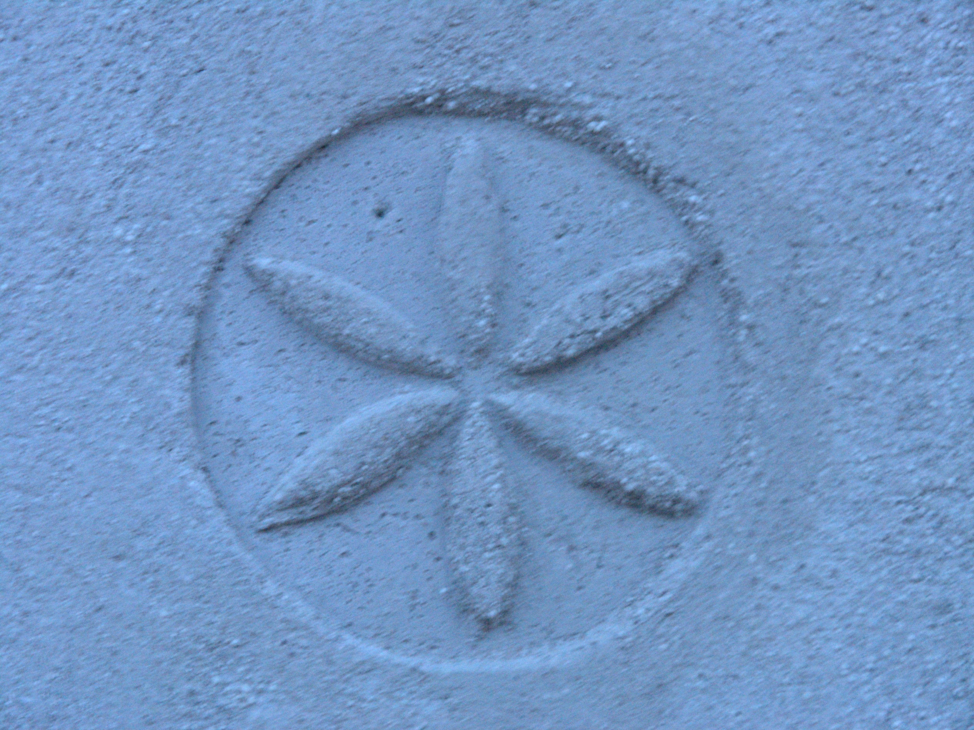 Panelna gradnja s slamnatimi balami 4